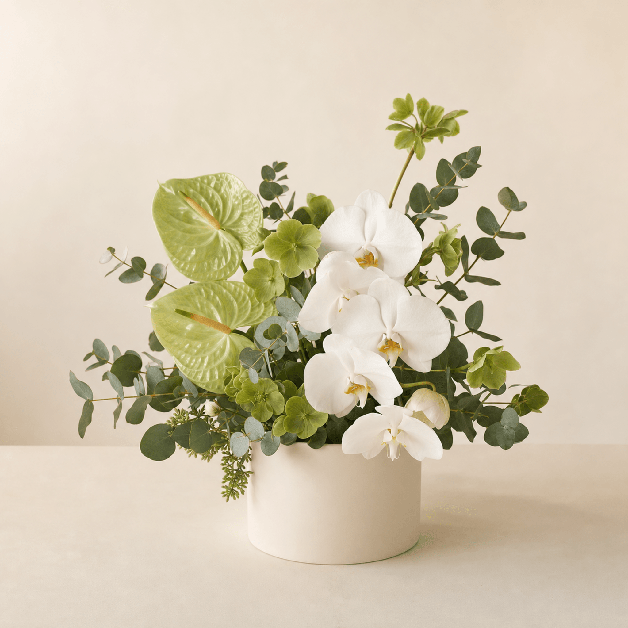 White phalaenopsis orchids and green anthuriums with eucalyptus in a cream ceramic pot