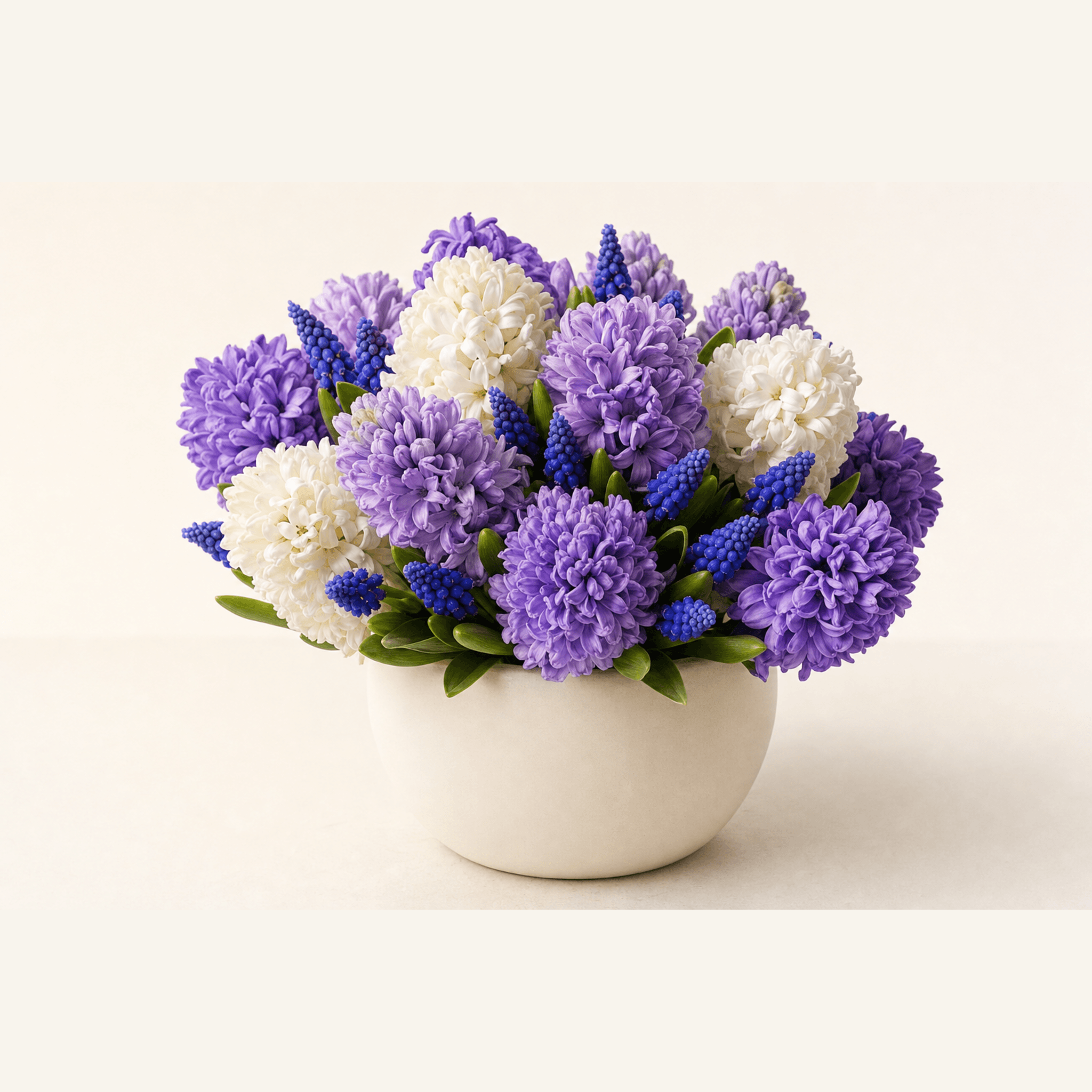 Purple and white hyacinths with blue grape hyacinths arranged in a round cream ceramic bowl