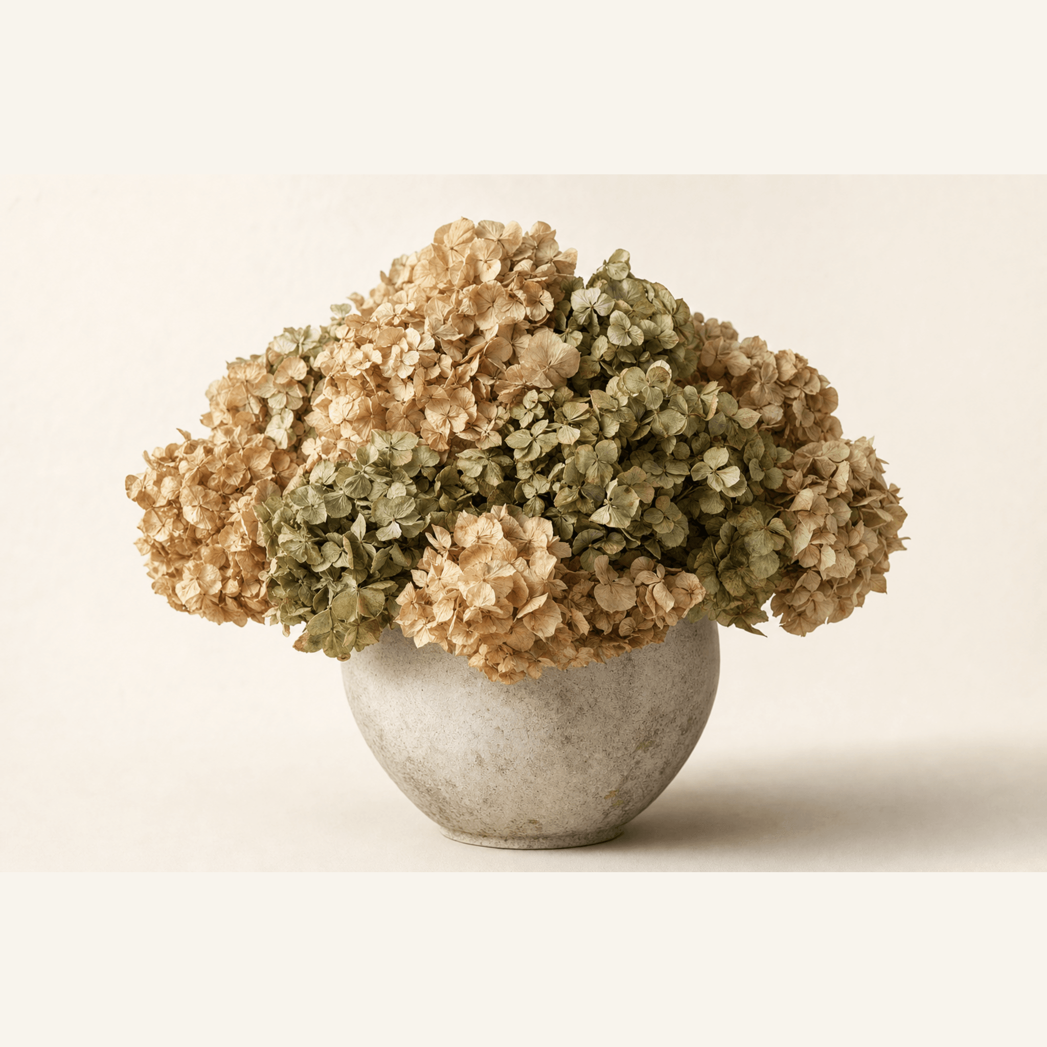 Dried green and tan hydrangeas arranged in a rustic stone-effect bowl vase