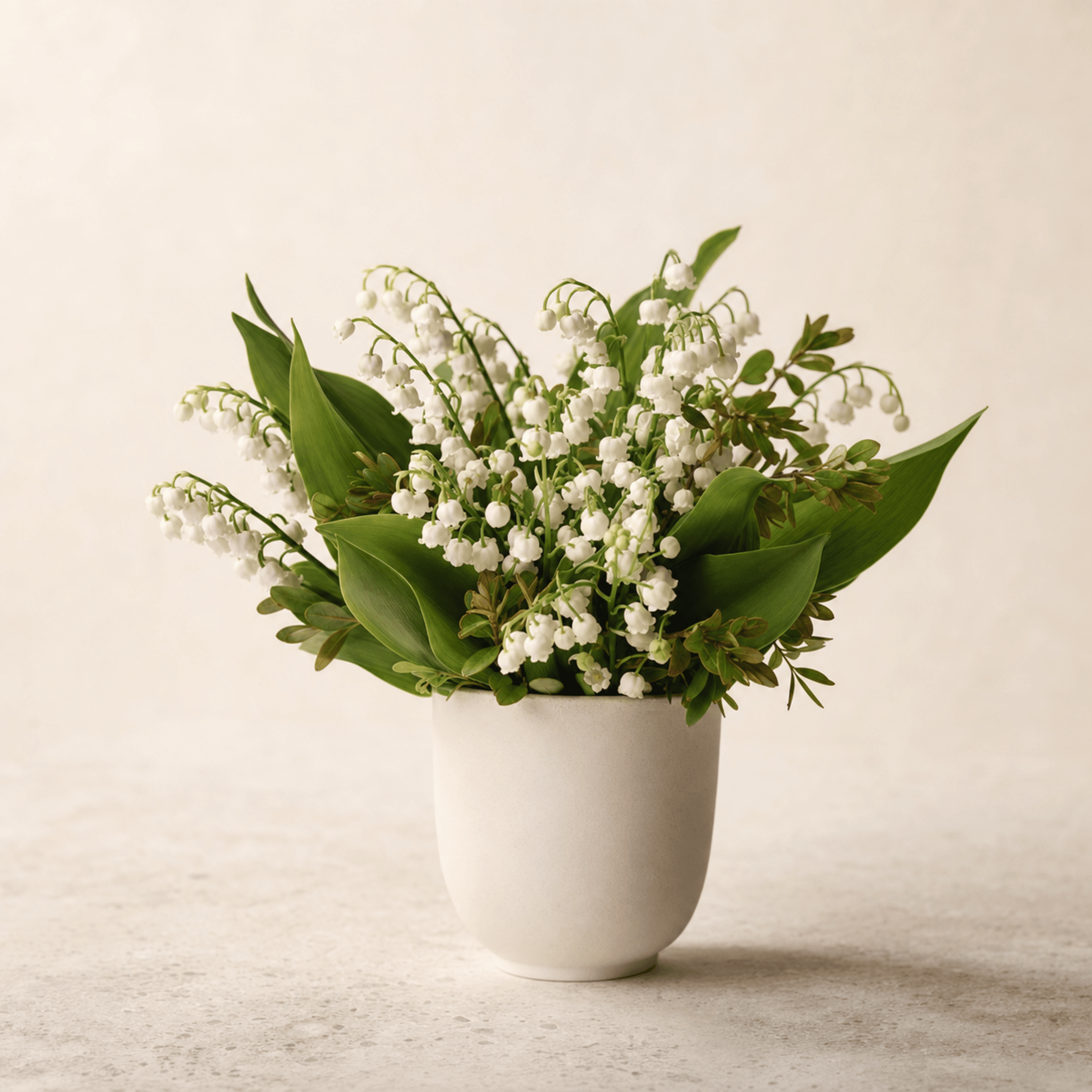 White lily of the valley blooms and broad green leaves arranged in a white ceramic pot