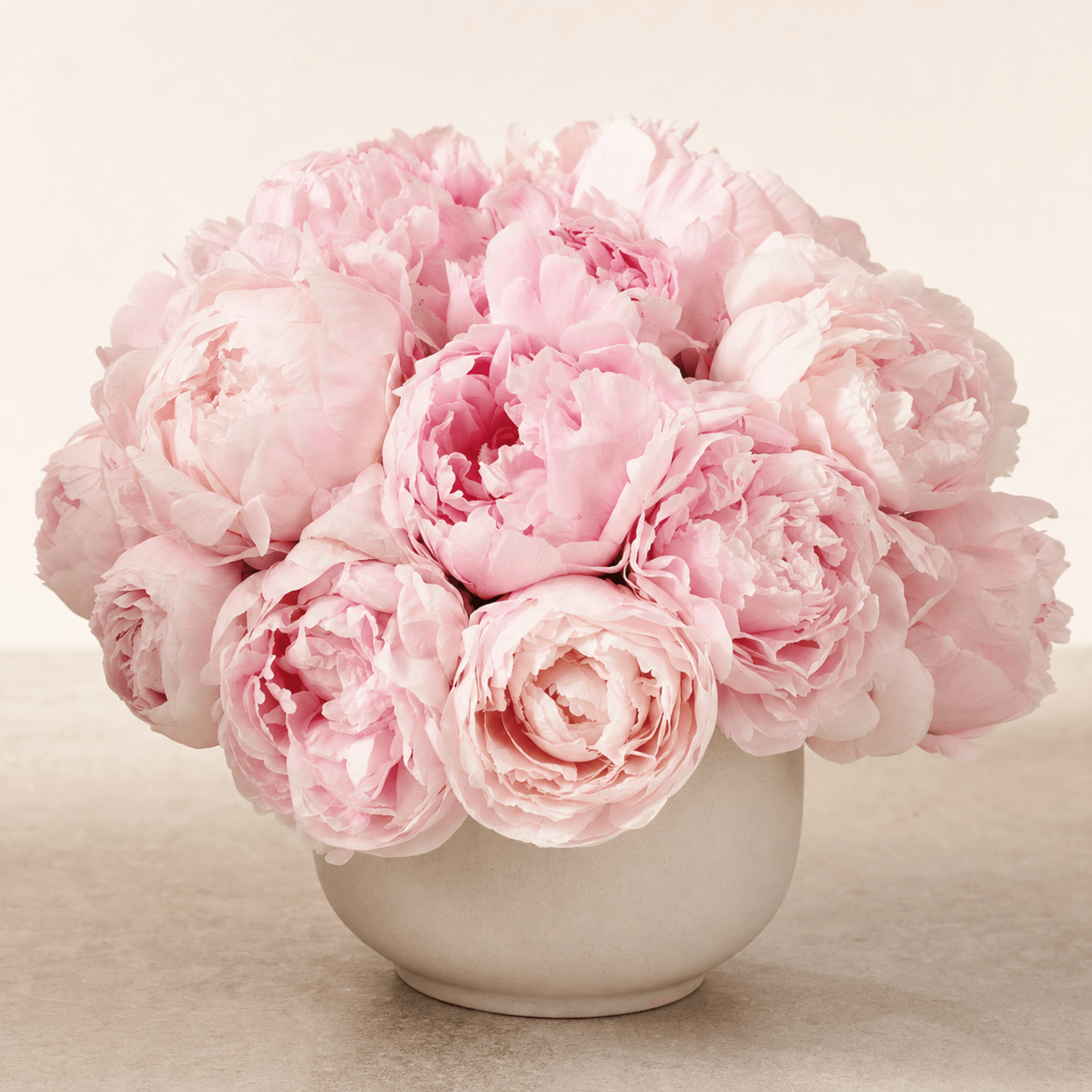 Blush and soft pink peonies arranged in a round white ceramic bowl