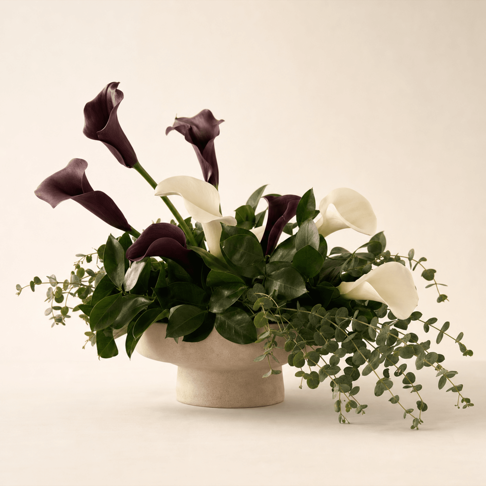 Deep burgundy and white calla lilies with eucalyptus and glossy leaves in a stone pedestal bowl